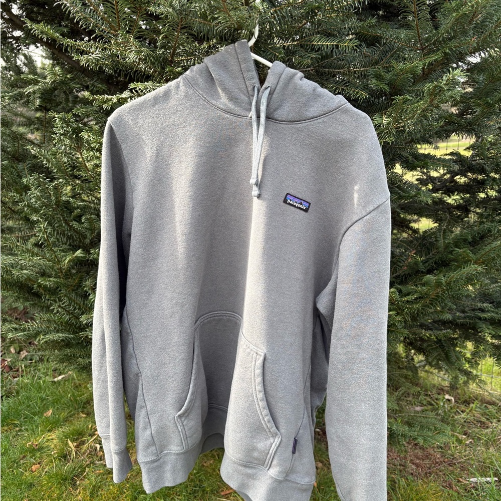 Patagonia Men's Light Gray Hoodie